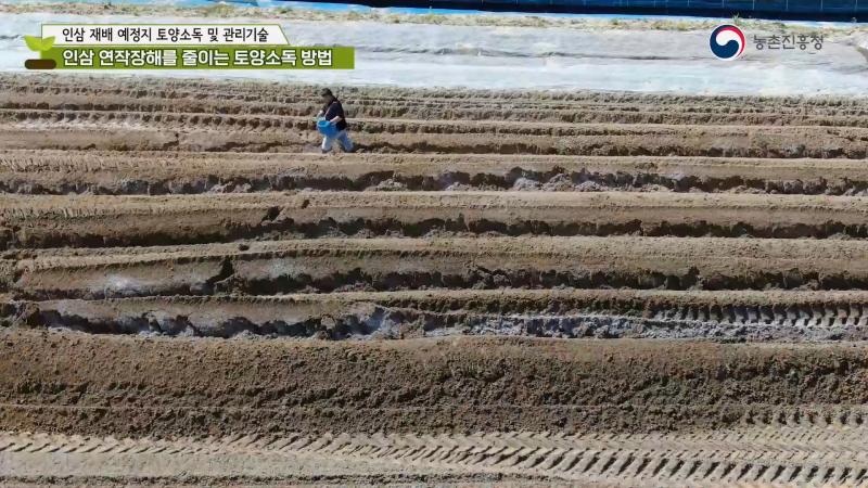 3. 인삼 연장장해를 줄이는 토양소독 방법 썸네일 이미지