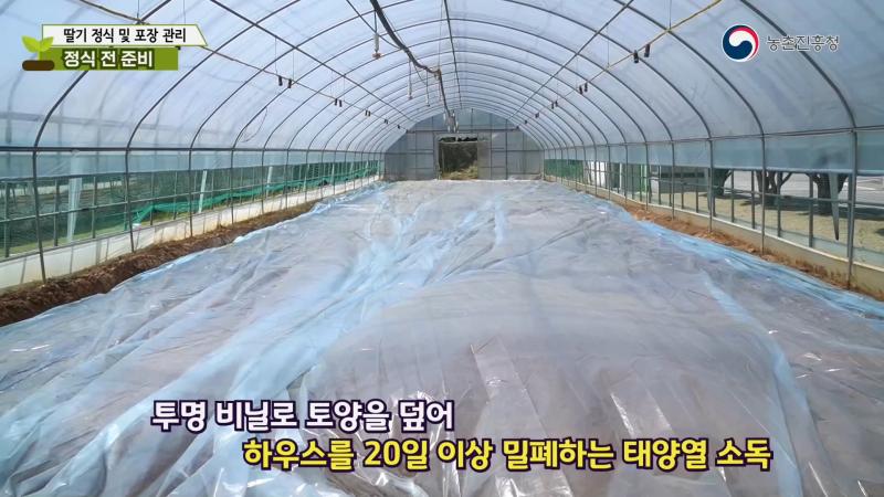 정식 전 준비