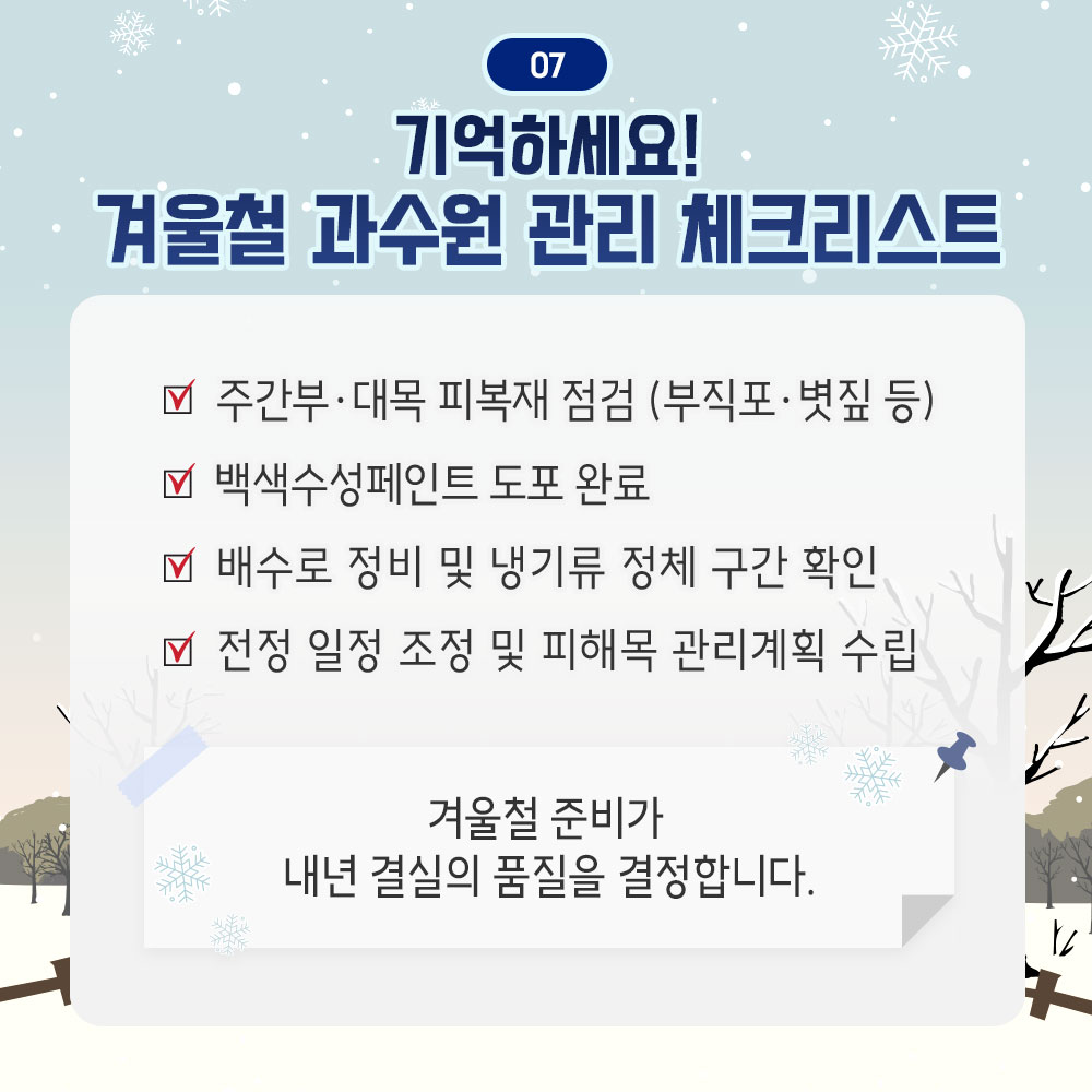 기억하세요! 겨울철 과수원 관리체크리스트 - 주간부.대목 피복재 점검(부직포.볏짚 등) - 백색수성페인트 도포 완료 - 배수로 정비 및 냉기류 정체 구간 확인 - 전정 일정 조정 및 피해목 관리계획 수립 * 겨울철 준비가 내년 결실의 품질을 결정합니다.