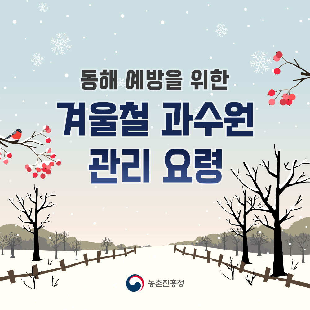 동해 예방을 위한 겨울철 과수원 관리 요령