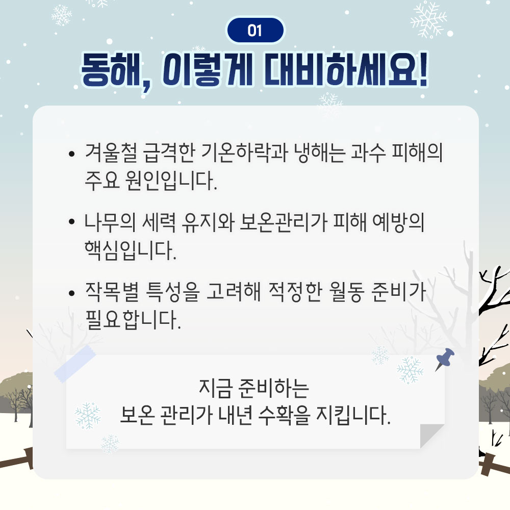 동해, 이렇게 대비하세요! - 겨울철 급격한 기온하락과 냉해는 과수 피해의 주요 원인입니다. - 나무의 세력 유지와 보온 관리가 피해 예방의 핵심입니다. - 작목별 특성을 고려해 적정한 월동 준비가 필요합니다. * 지금 준비하는 보온 관리가 내년 수확을 지킵니다.