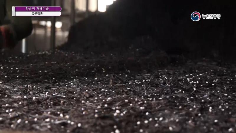 4. 종균접종