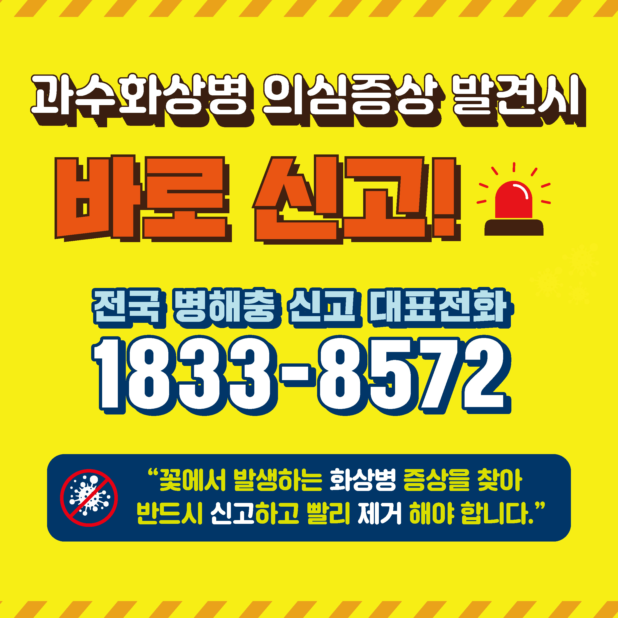 과수화상병 의심증상 발견시 바로 신고!  전국 병해충 신고 대표전화  1833-8572  '꽃에서 발생하는 화상병 증상을 찾아 반드시 신고하고 빨리 제거 해야 합니다.'