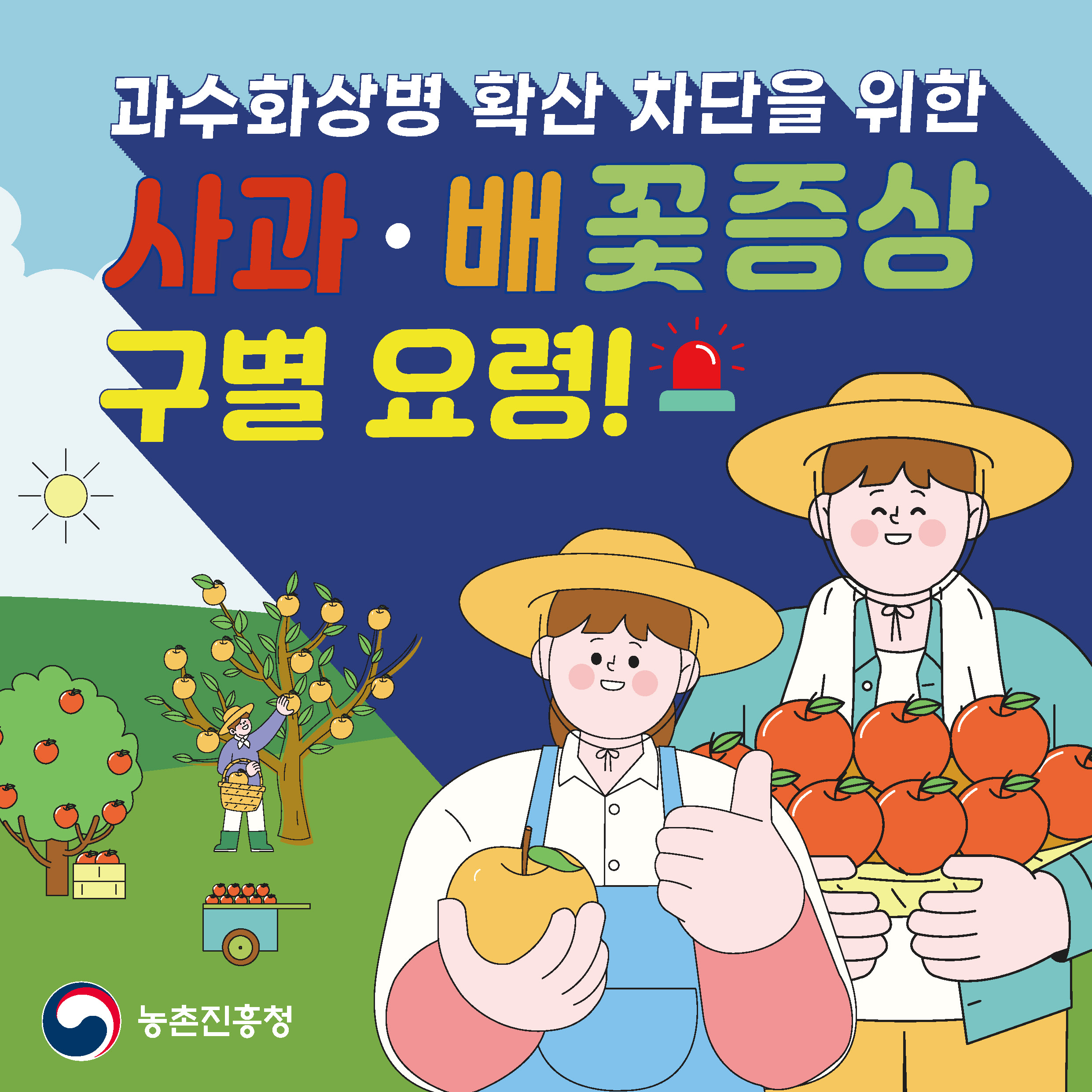 과수화상병 확산 차단을 위한 사과·배 꽃증상 구별 요령! 농촌진흥청
