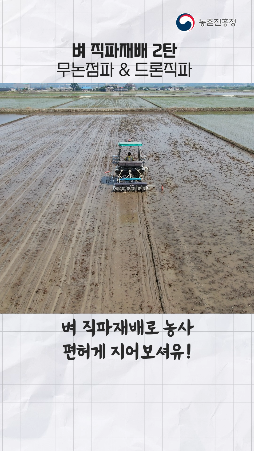 벼 직파재배 기술 쇼츠 B