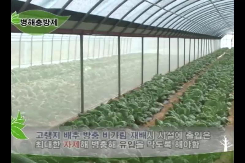 병해충방제_엽면시비_인터뷰_김기덕박사