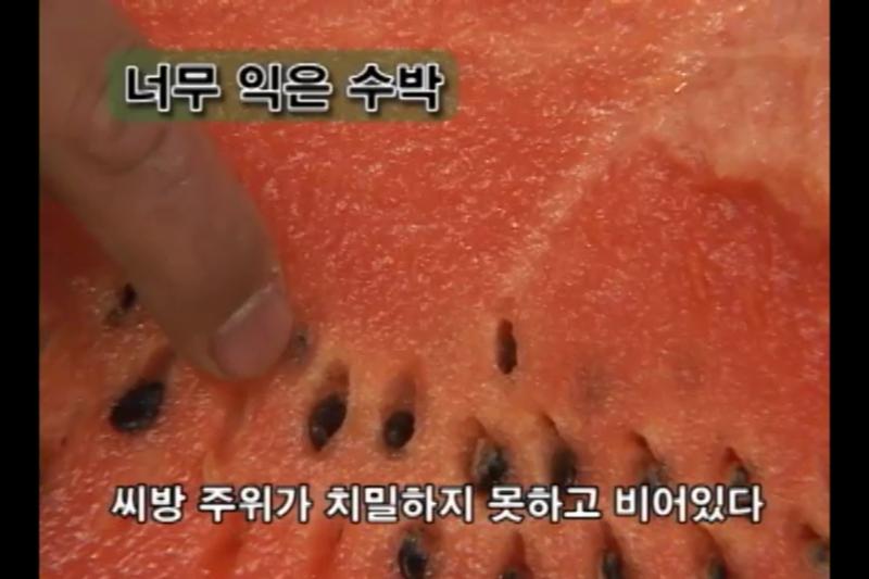 너무 익은 수박 두드려서 소리듣기_ 인터뷰