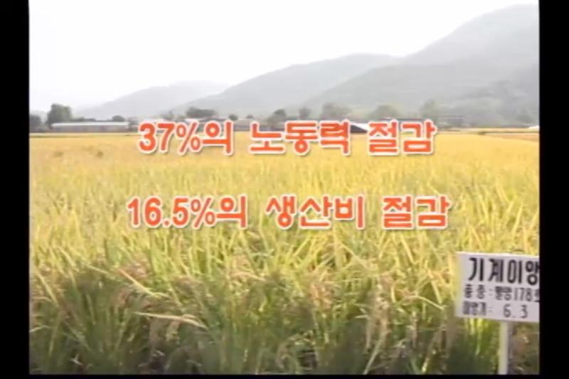 효과