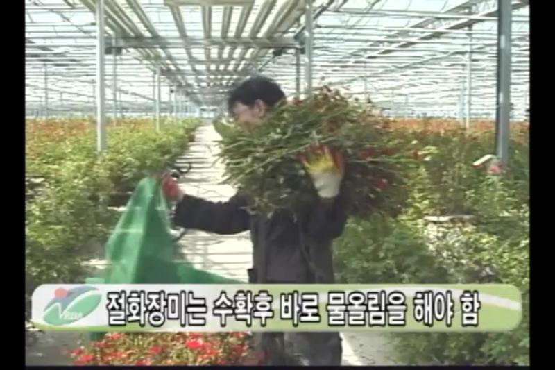 물올림_예냉
