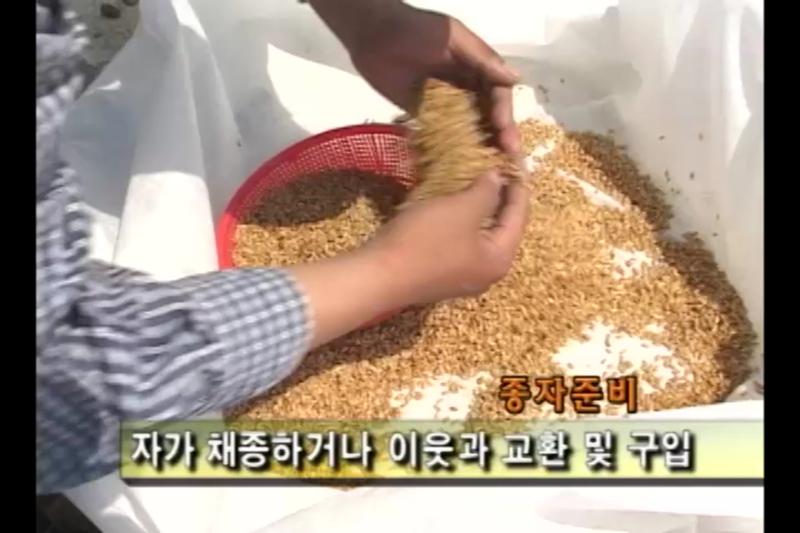 볍씨 가리기