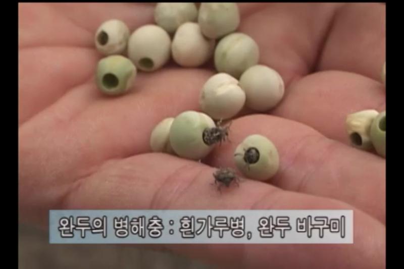 병해충 방제_수확저장