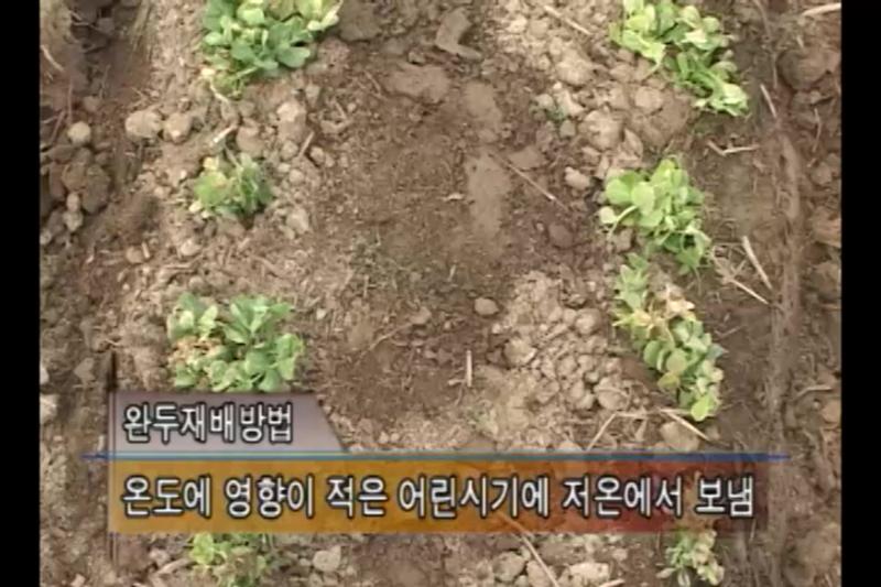 재배종류_봄 재배_가을 재배_시설 하우스 재배