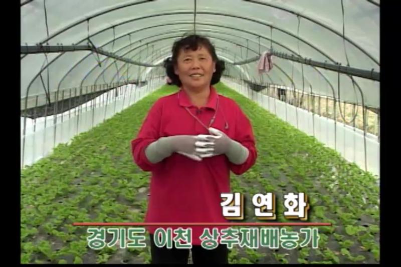 순잎따기 장갑 사용 인터뷰_밭작업화 소개
