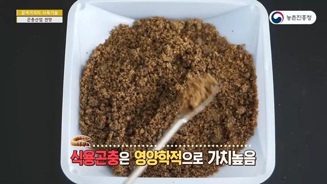 곤충산업