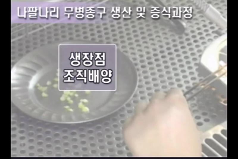 무병종구 증식기술
