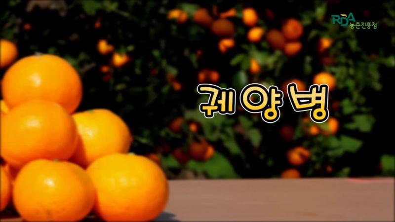궤양병