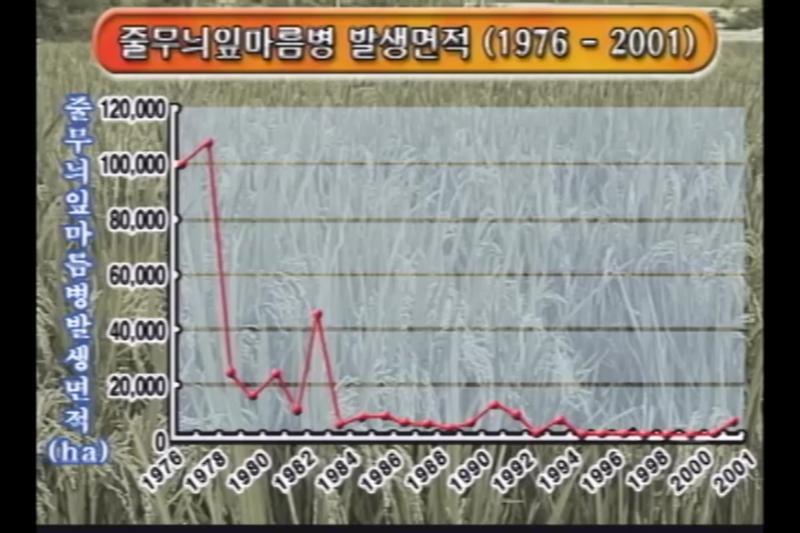 벼 줄무늬 잎마름 병_인터뷰