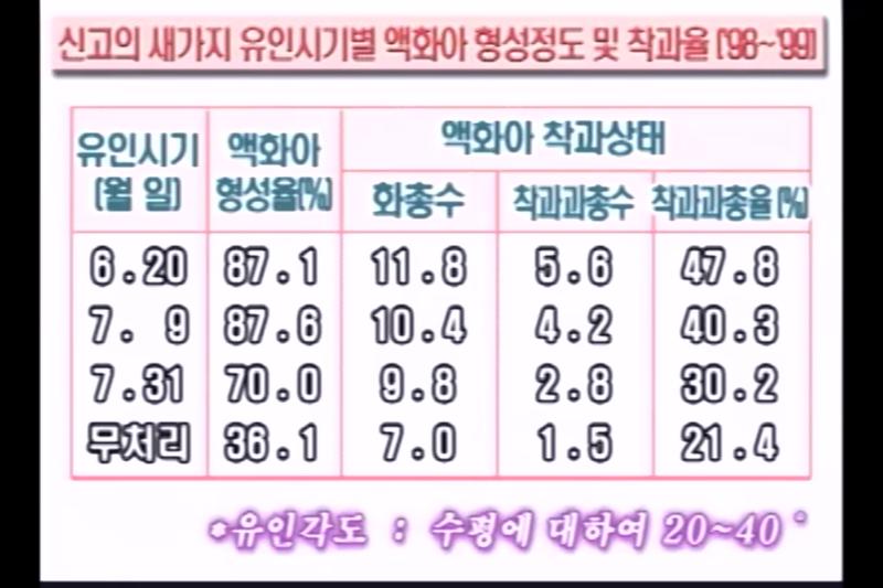 유인 시기별