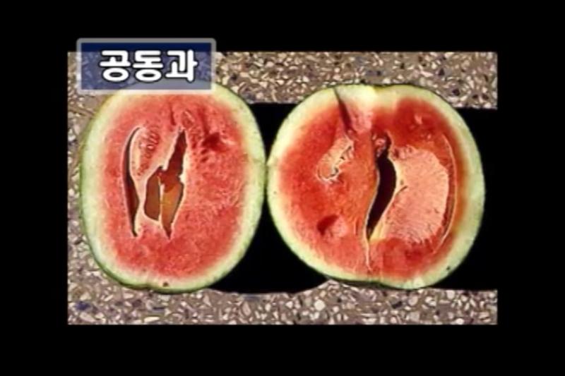 공동과