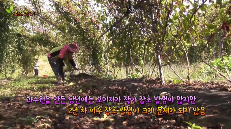 잡초 관리 및 병해충 방제 썸네일 이미지
