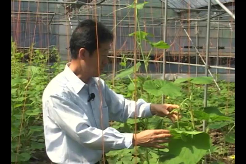 유인의 필요성