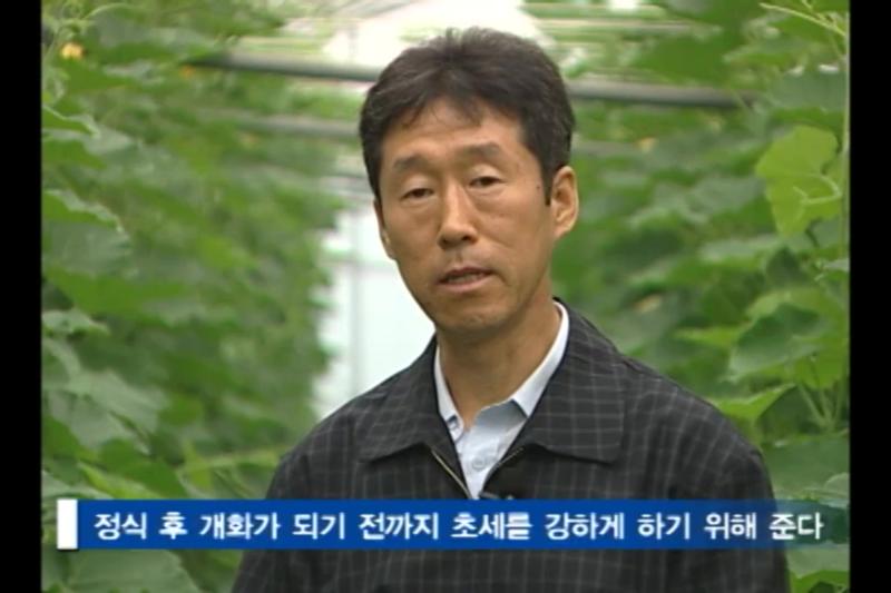 웃거름주는 요령