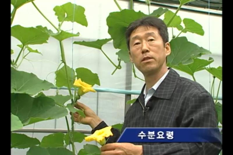 인공수분
