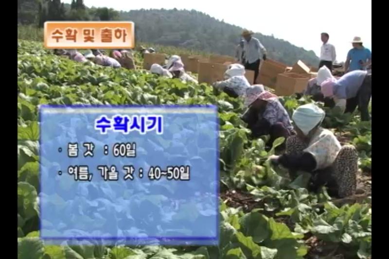 수확 및 출하_종자 채종