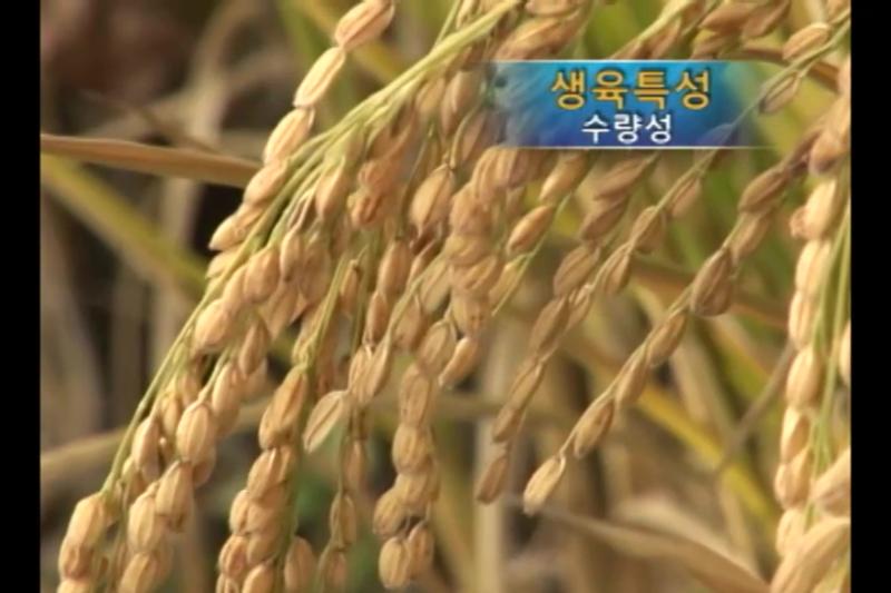 생육 특성