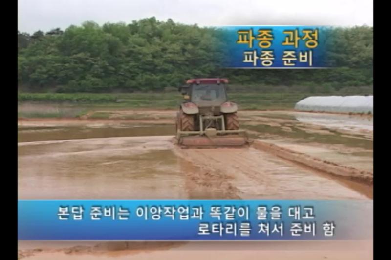 종자 조건 및 본답 파종시기