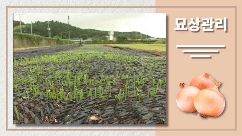 묘상관리