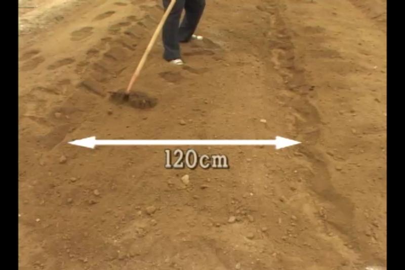 농(農)영상 | 농사로