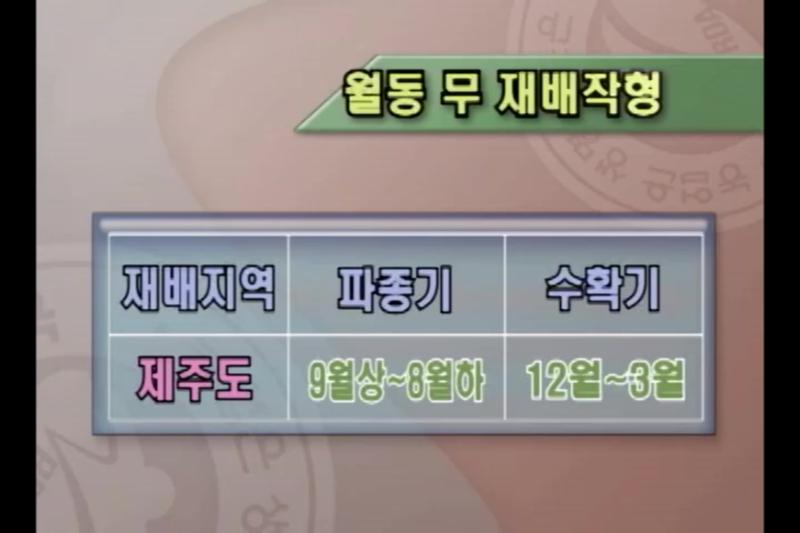 제주도 재배 작형