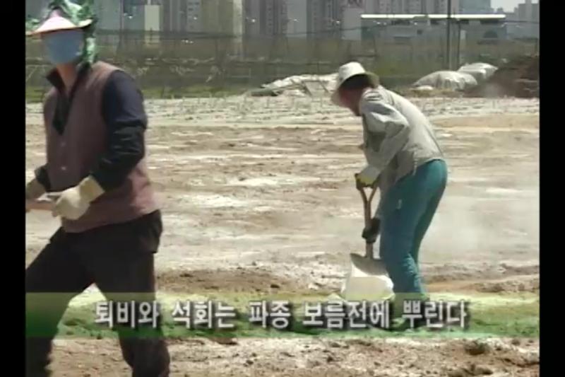 토질_두둑만들기_파종_솎음작업