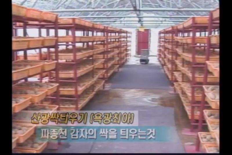 싹 틔우기