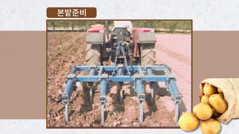 본밭준비