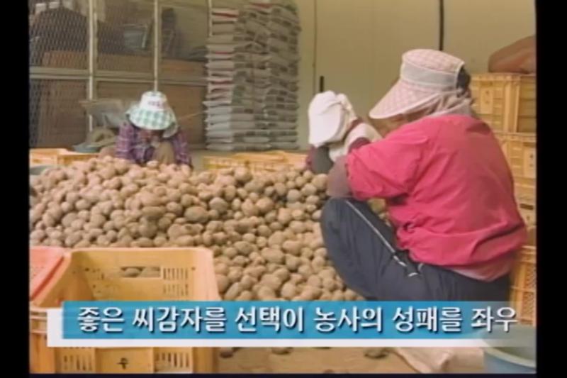 단계별 재배기술