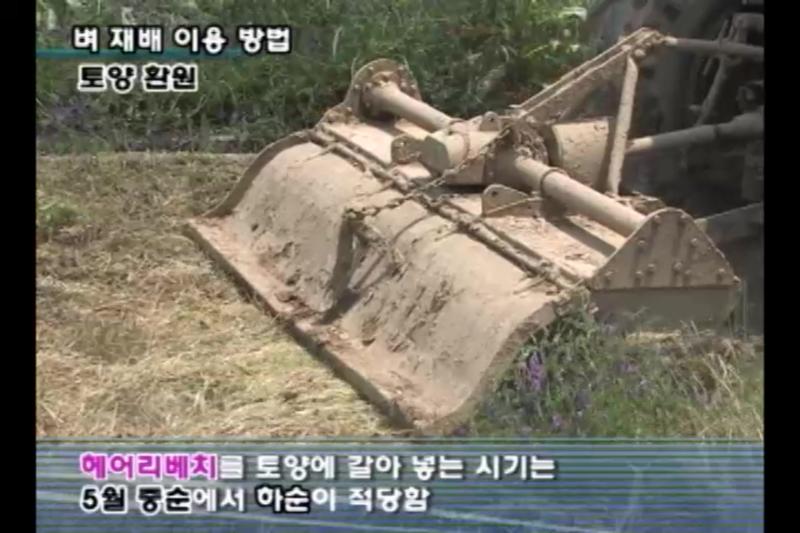 배 재배 이용 방법_토양 환원_벼에 거름주기