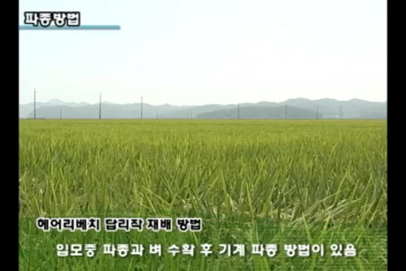 파종방법_벼 입모중 파종