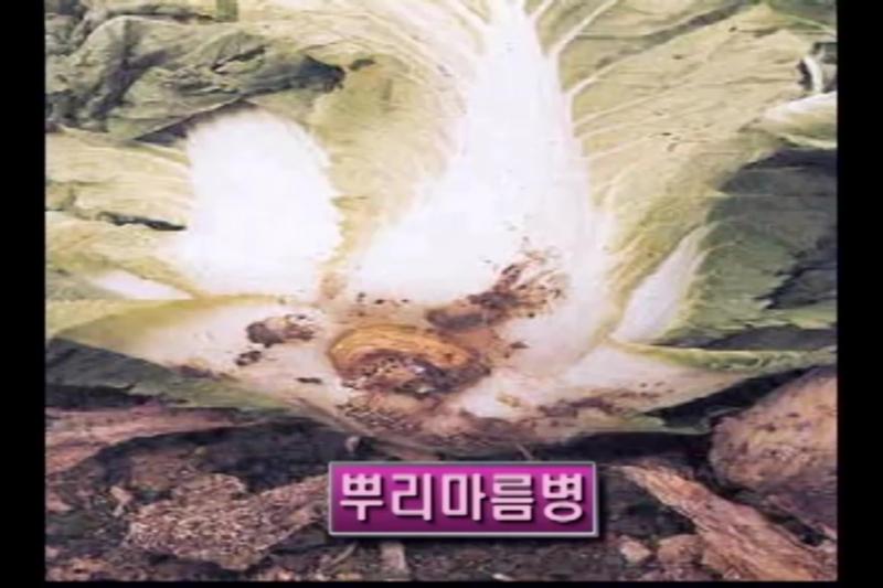 병해충방제_수확 및 품질유지