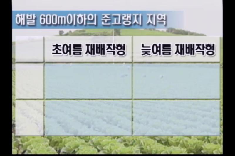 작형