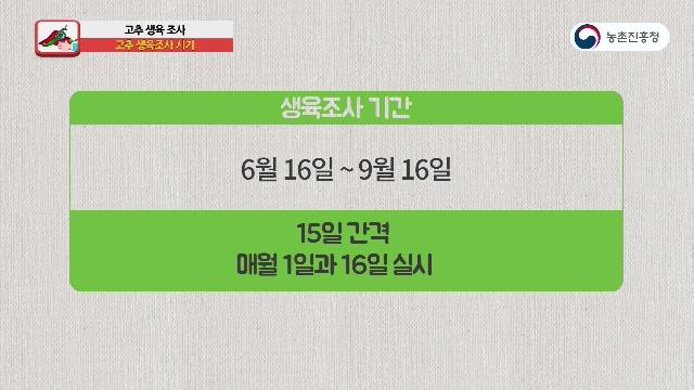 고추 생육조사 시기
