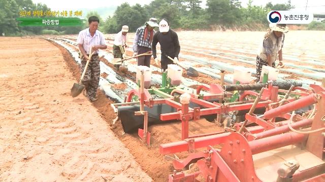 파종 방법