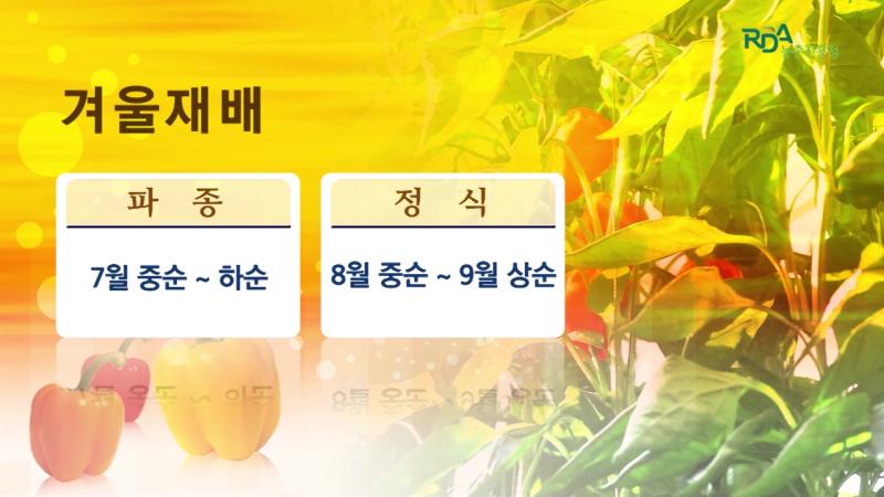 재배방법-가_품종선택 썸네일 이미지