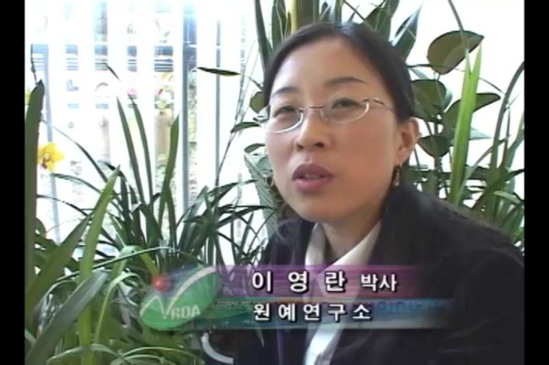 난의 꽃을 보려면_인터뷰