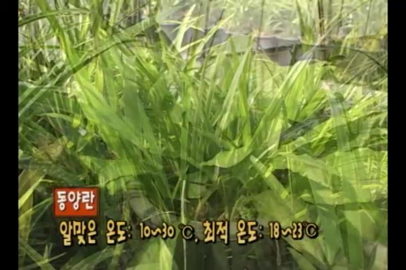 온도관리_분갈이