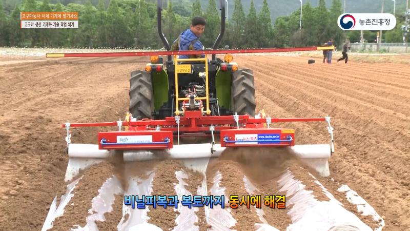 고구마 생산 기계화 기술 작업 체계