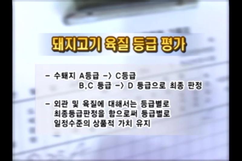 최종 등급파정_좋은 고기 고르는 방법
