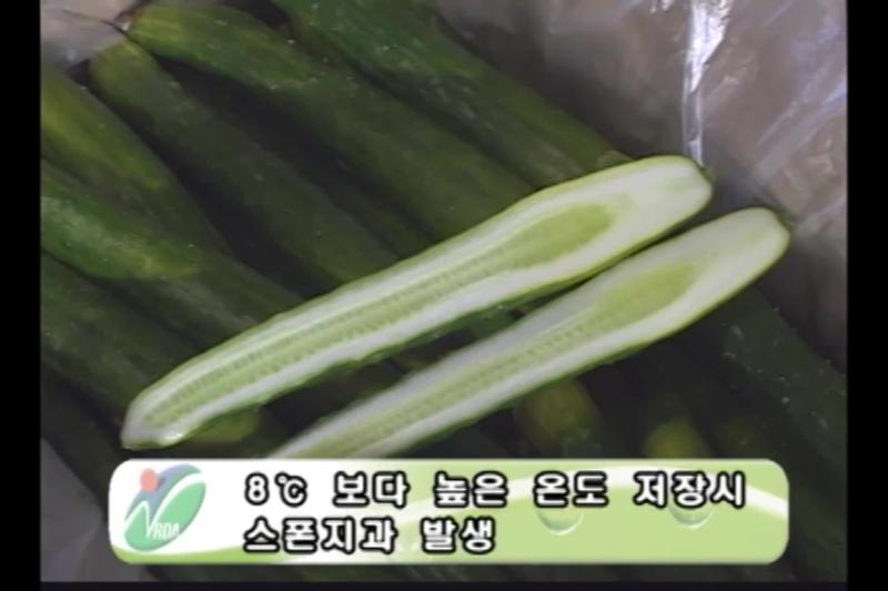 스폰지과 방지기술 인터뷰