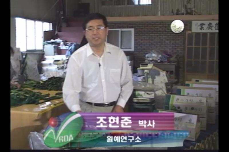 스폰지과 증상